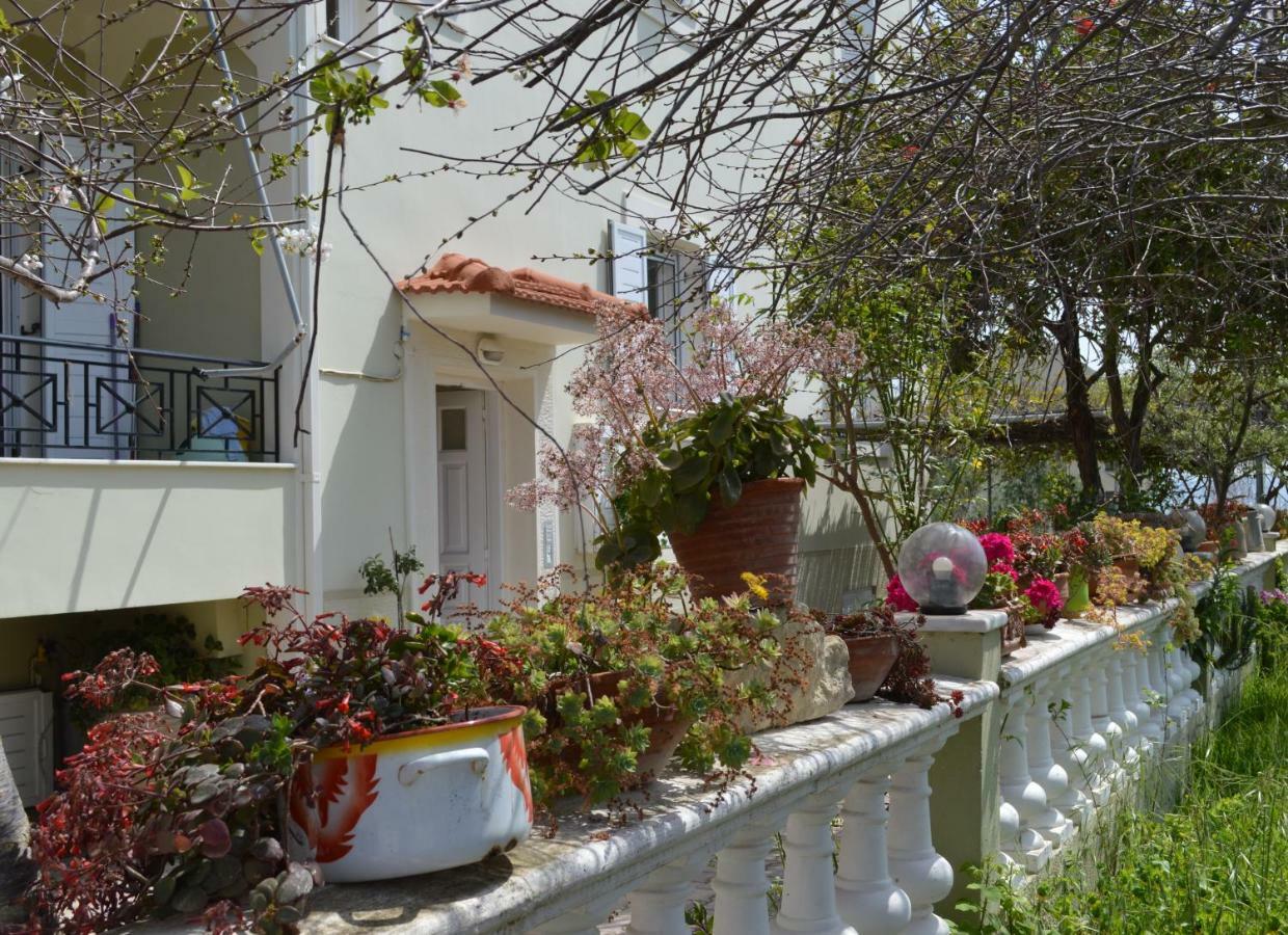 Araucaria Home Lixouri Extérieur photo